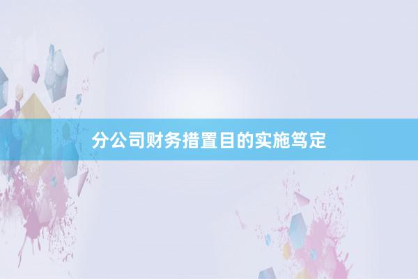 分公司财务措置目的实施笃定