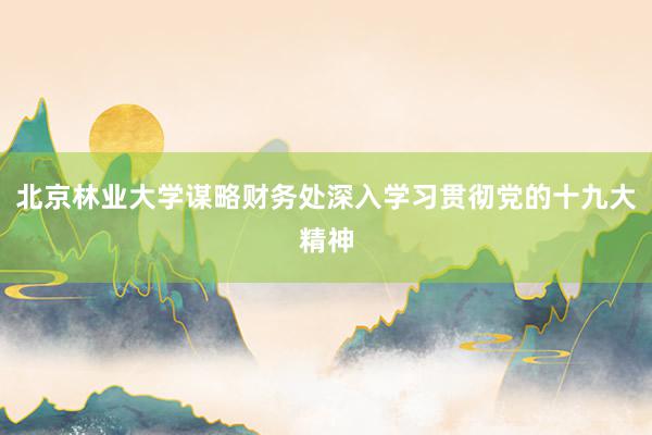 北京林业大学谋略财务处深入学习贯彻党的十九大精神
