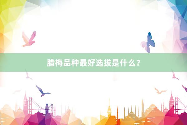 腊梅品种最好选拔是什么？
